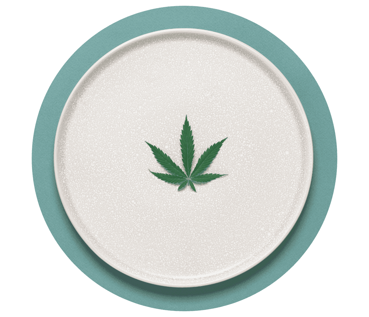 Kleines Hanfblatt auf einem beigen Teller